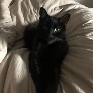 Meet your Posher, Anna